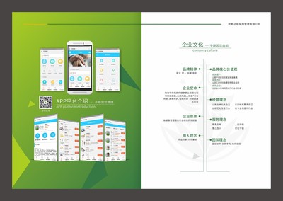 成都健康管理畫冊設計服務 專業咨詢與視覺呈現的完美結合